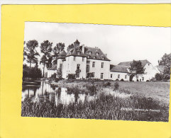 CPSM -   EGHEZEE - Château De Frocourt  - édition Palate - Eghezee