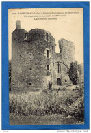 HERBIGNAC-ruines Du Vieux Chateau  Années 1900-10 Edi Vasselier - Herbignac