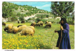 RB 1049 - Cyprus Ethnic Postcard - Shepherdess With Flock Of Sheep - Chypre
