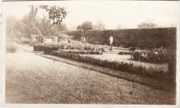 Foto 1919 HEDDESDORF (Neuwied) - Eine Garten (A112, Ww1, Wk 1) - Neuwied