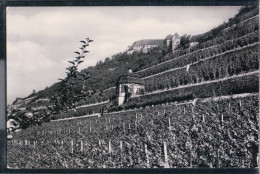 Freyburg An Der Unstrut - Weinberge Mit Neuenburg - Freyburg A. D. Unstrut