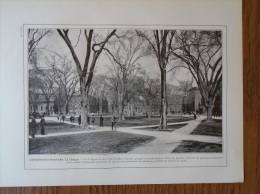 USA- Cambridge HARVARD -  University -  Le Campus -  Soccer Player   - Print 1911 1AM8 - Estampes & Gravures