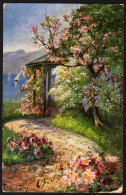 Kirschen Baum - Gelaufen 1909 - Árboles
