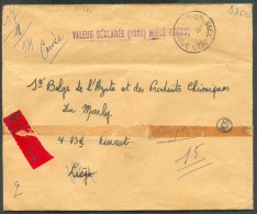 Lettre à Valeur Déclarée Avec 4 Fr.marchand Obl. Sc BRUXELLES 29 Du 13-5-1968 (valeur 1000 Francs) Vers Ougrée - 10686 - 1953-1972 Brillen