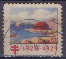 SWEDEN:1928:Vignette/Cinderella -Travelled:With Cancellation ##GÖTEBORG 21.12.28##:CHRISTMAS,NOËL,JULPOST,BIENFAISANCE, - Service