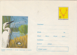 BIRDS, EGRET, COVER STATIONERY, ENTIER POSTAL, 1972, ROMANIA - Pelicans