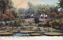 Lily Pond Como Park Saint Paul Minnesota - St Paul