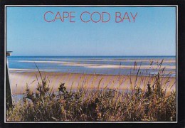 The Flats At Low Tide Cape Cod Massachusetts - Cape Cod