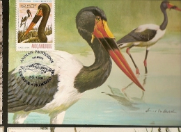 Mozambique & Postal Máximo, Animais Protegidos, Aves 1981 (3) - Pélicans