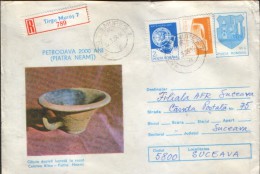 Romania - Postal Stationery Cover 1980 Used - Archaeology - Dacian Vessel, Made At Wheel - Fortress Batca,Neamt - Archéologie