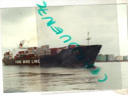 Bateau Identifié " Ming Sun " Yangming Marine Transport Taiwan 1980 Kaoshiung   Shipping Ship  Transport Maritime - Signed Photographs