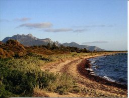 Australia - Tasmania - Flinders Island - Strzelecki National Park - Wilderness