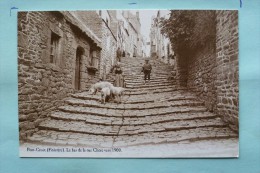 V08-29-finistere-bretagne--pont Croix-reproduction--le Bas De La Rue Chere Vers 1900--animee-cochons - Pont-Croix