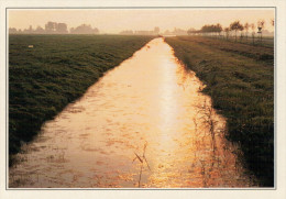 FLEVOLAND:   I  POLDER     (NUOVA CON DESCRIZIONE DEL SITO SUL RETRO) - Other & Unclassified