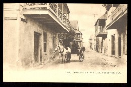 508. Charlotte Street, St. Augustine, Fla. / Postcard Not Circulated - St Augustine