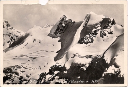 ALPINISMO  Gruppo Ortles  Timbro CAI Sez. Milano  Fg - Escalade