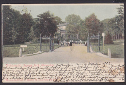 Dordrecht Park Merwesteiin CAK 1902 - Dordrecht