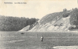 Neufchâteau - Les Côtes Du Hahy - Edition Lallemand - Carte Colorisée, Non Circulée - Neufchâteau