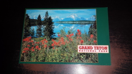 C-41757 GRAND TETON NATIONAL PARK - Autres & Non Classés