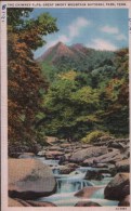 POST CARD THE CHIMNEY TOPS, GREAT SMIKY MOUNTAIN NATIONAL PARK, TENNESSEE - Smokey Mountains