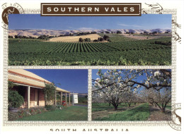 (PH 200) Australia - SA - Southern Vales - Barossa Valley