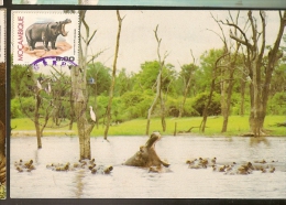 Moçambique & Postal Máximo, Animais Protegidos Hipopótamo 1981 (4) - Flusspferde