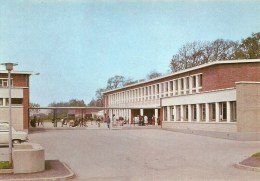 NORD PAS DE CALAIS - 59 - NORD  - WORMHOUT - Le CEG - Route D'Esquelbecq - CPSM GF Couleur - Wormhout