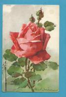 CPA 1268 Fleurs Rose Rouge Par Catharina KLEIN - Klein, Catharina