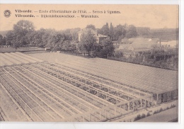 VILVOORDE : école D'Horticulture De L'état - Serres à Légumes - Vilvoorde