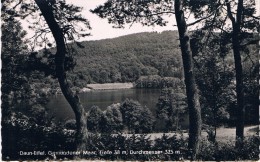 DAUN-EIFEL - Gemünder Maar Tiefe 38 M, Durchmesser 325 M - Circulé 1955, Petit Format, 2 Scans - Daun