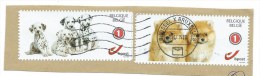 Mijn Zegel - 2 Zegels Honden - Op Briefstuk - Mooie Afstempeling - Used Stamps