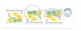 Bloemen BUZIN - Op Briefstuk - Mooie  Speciale Afstempeling - Oblitérés