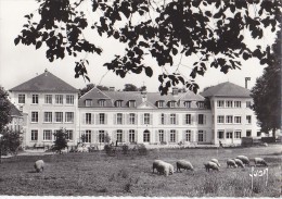 Epinay Sous Sénart 91 - Maison Sainte Hélène - Epinay Sous Senart