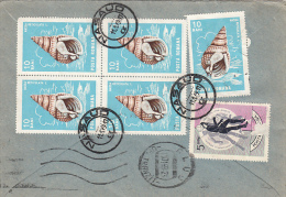 24836- SEA SHELL, SOCCER WORLD CUP, STAMPS ON COVER, 1969, ROMANIA - Lettres & Documents