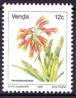 Venda - 1979 - First Definitive, Flowers - Clivia Caulescens - Single Stamp - Venda