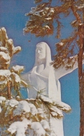 The Christ Of The Ozarks Eureka Springs Arkansas - Sonstige & Ohne Zuordnung