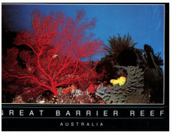 (257) Australia - QLD - Great Barrier Reef Corals (RTS Or DLO Purple Postmark At Back Of Card) - Great Barrier Reef