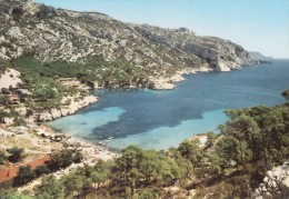 MARSEILLE SORMIOU ET SA PLAGE 1983 Nos Belles Calanques CAP MORGIOU Bec De L´Aigle 9 Eme Cayolle Baumettes Superbe - Quatieri Sud, Mazarques, Bonneveine, Pointe Rouge, Calanques