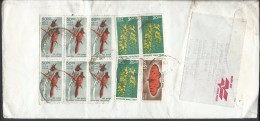 India Airmail 2001 Bird Paradise Flycatcher, Butterfly, 2000 Flower Amaltaas Postal History Cover Sent To Pakistan. - Cartas