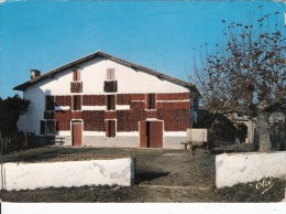 Cp , 64 , ESPELETTE , Le Séchage Des Piments D'Espelette Sur La Façade De La Ferme Basque - Espelette