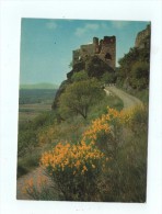 CPM ROCHEMAURE Ruines De L'ancien Château Féodal - Rochemaure