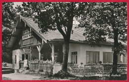 AK ´Hundham über Miesbach´ (Oberbayern) ~ 1965 - Miesbach