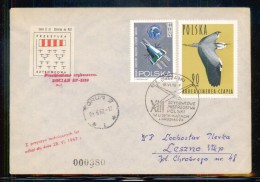 POLAND 1967 13TH NATIONAL GLIDING CHAMPIONSHIPS GLIDER FLOWN COVER CINDERELLA STAMP FLIGHT AIRPLANE AIRCRAFT - Gliders