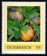 ÖSTERREICH 2009 ** Kürbis, Pumpkin - PM Personalized Stamp MNH - Légumes