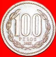 * CROWNED CONDOR: CHILE ★100 PESOS 1985!  LOW START ★ NO RESERVE! - Cile