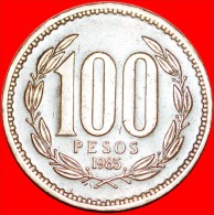 * CROWNED CONDOR: CHILE ★100 PESOS 1985!  LOW START ★ NO RESERVE! - Chili