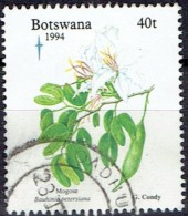 BOTSWANA  # STAMPS FROM YEAR 1994 STANLEY GIBBONS  799 - Botswana (1966-...)