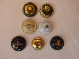 Capsules Plaques De Muselet - Autres & Non Classés