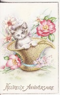 Carte Postale Fantaisie CHAT-ANIMAUX Dans Corbeille-Heureux Anniversaire-Fleur-2 SCANS - Chats