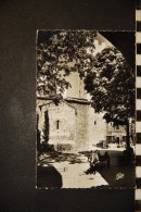 06, VENCE, Place De La Cathédrale ,833,  Ane - Vence